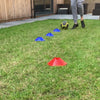 Laceeze Ultimate Training Bundle - goals, ladder, cones